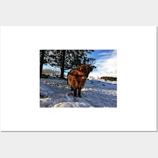 Scottish Highland Cattle Calf 1659 Posters and Art